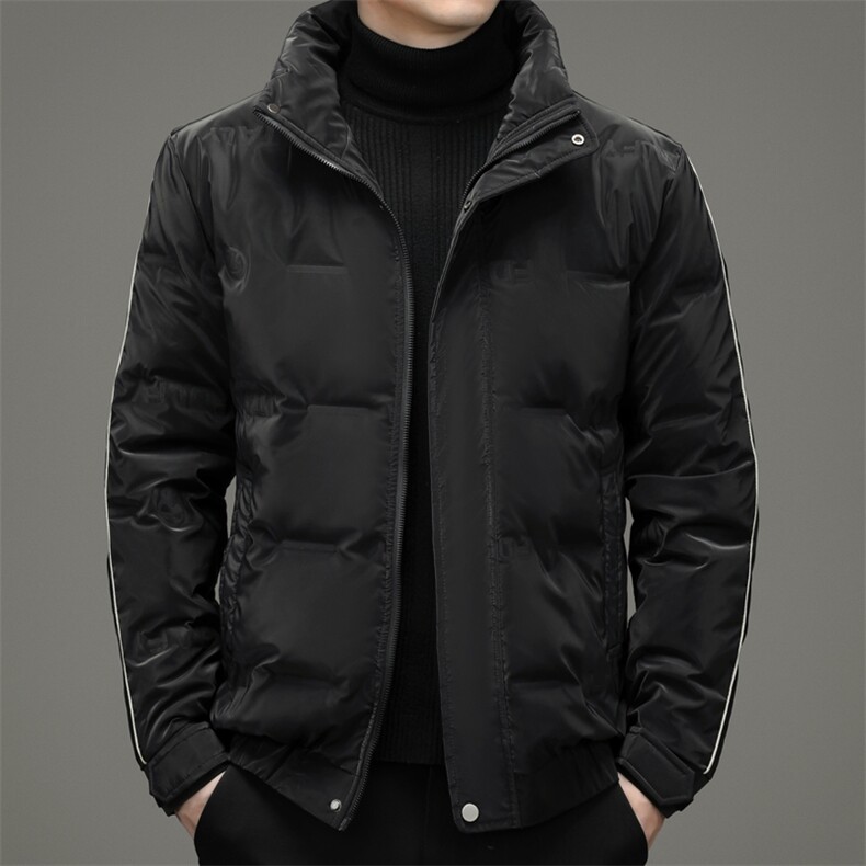 羽绒服男潮流休闲时尚立领保暖夹克外套80%白鸭绒男款ZG2952-P205,男装羽绒服,电商B212（原钱塘6029）
