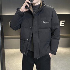 店主风2025年新款时尚立领潮流保暖羽绒服男A236-G61-P185，男装羽绒服，电商A236