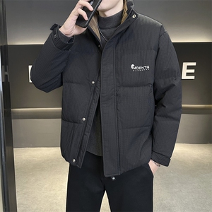 店主风 2025年新款时尚立领潮流保暖羽绒服男A236-G61-P185图片