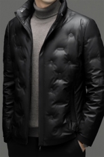 BN216钱塘2020-2中年男士冬季厚款时尚休闲立领百搭羽绒服P225，男装羽绒服，钱塘207-2