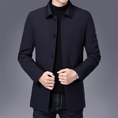 男士商务休闲羽绒服冬季新款中年爸爸装保暖加厚翻领外套男装上衣，男装羽绒服，电商B212（原钱塘6029）