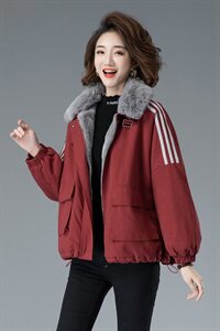 2020年冬季新款时尚百搭休闲时髦短款加绒外套图片
