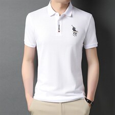 男式2023年夏季新款纯棉T恤衫男短袖翻领商务休闲体恤时尚百搭，男装T恤，电商B212（原钱塘6029）