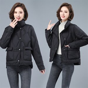 2020冬季新款时尚百搭宽松休闲舒适立领羽绒服图片