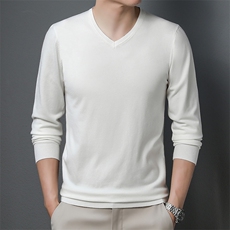 2023秋季新款卫衣男长袖T恤v领打底衫中年男装上衣时尚百搭，男装卫衣，电商B212（原钱塘6029）