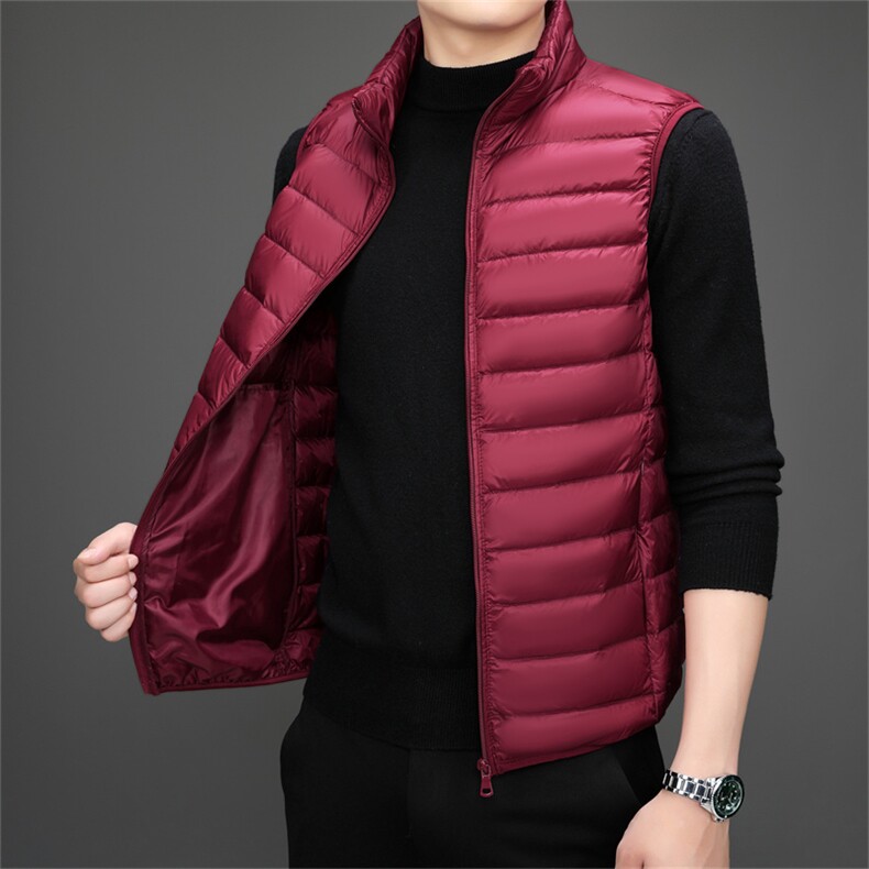 达标50绒 秋冬新款轻薄羽绒服马甲男士轻羽绒背心坎肩YR912-P55图片
