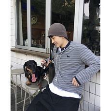 现货DXQ1439-批45小狗刺绣条纹亨利领长袖秋季上衣，男装卫衣，星座603-2