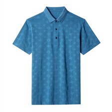 POLO衫男上衣半袖男装衣服男士体恤衫T恤潮牌休闲翻领爸爸短袖男，男装T恤，电商B212（原钱塘6029）