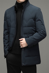 羽绒服外套男立领商务休闲中年男装冬季中老年爸爸装HL2166-P390图片