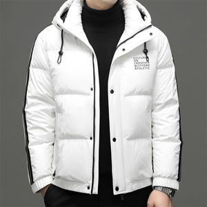DF22631钱塘2020-2新款时尚休闲简约百搭中年男士羽绒服P265图片