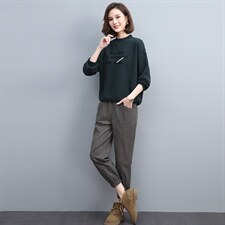 2022春季新款简约时尚圆领字母植绒印花宽松休闲舒适两件套图片