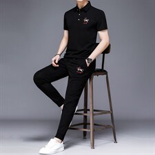 上衣裤子短袖纯色2023年翻领休闲夏季中年套装时尚HP516，男装休闲套装，电商B212（原钱塘6029）