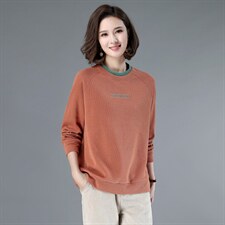 【全年有货，永不下架】卫衣女春秋韩版宽松刺绣洋气休闲妈妈上衣，女装卫衣/绒衫，3200格调