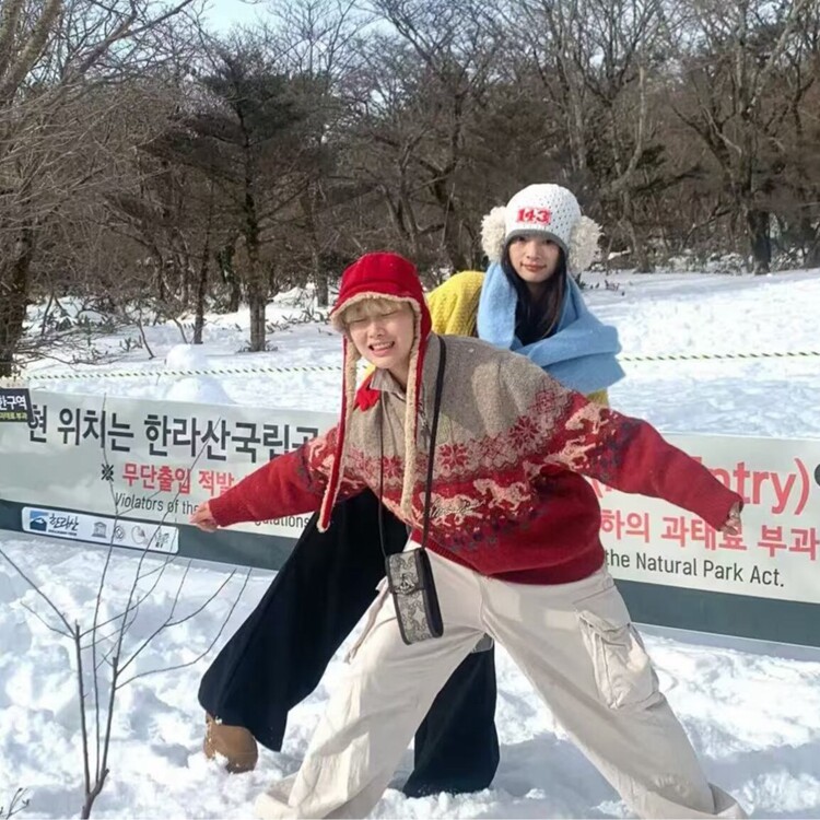 文艺圣诞毛衣外套男女情侣连帽潮牌秋冬费尔岛加厚针织衫新款潮流,男装针织衫/毛衣,星座218-8