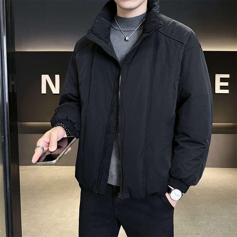 90新标2025冬立领加厚外套简约休闲短款设计款羽绒服Z9558-P295,男装羽绒服,电商A413