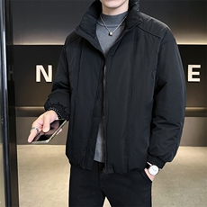 90新标2025冬立领加厚外套简约休闲短款设计款羽绒服Z9558-P295，男装羽绒服，电商A413