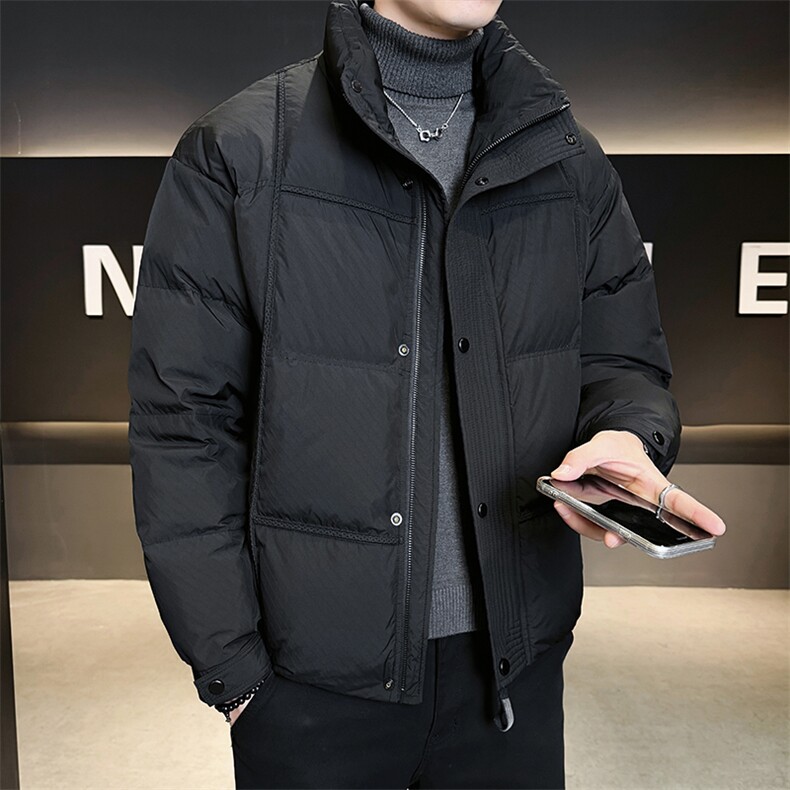 店主风2025新标90白鸭立领面包服短款羽绒服男LMS2502-P310,男装羽绒服,电商D240-242