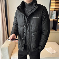 2025冬季店主风新款立领简约休闲羽绒服保暖外套男YR8106-P175，男装羽绒服，电商A413