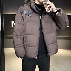 90%标白鸭绒2025冬季连帽加厚保暖休闲羽绒服外套18119-P330，男装羽绒服，电商A413