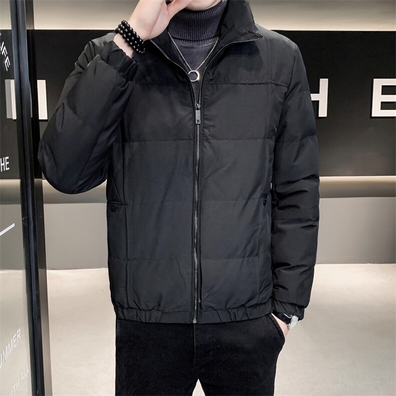 店主风棉衣男2024冬季新款纯色修身跑量立领棉服外套MY2382-p125,男装棉衣,电商D303