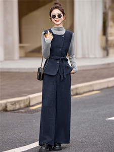 时尚通勤西装马甲阔腿裤套装女2025秋季新款女神范气质收腰三件套图片