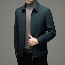 棉服男士冬季加厚保暖上衣中年爸爸装商务休闲翻领宽松棉衣外套，男装棉衣，电商B212（原钱塘6029）