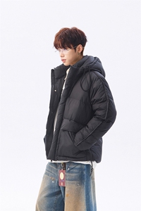 羽绒服连帽高品质保暖cityboy情侣冬90白鸭绒2025 SYR2602-P270图片