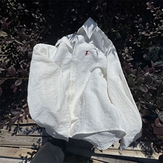 TS1风棉麻透气凉爽长袖刺绣衬衫慵懒学院高级面料有套装，男装衬衫，星座115A(原星座507）