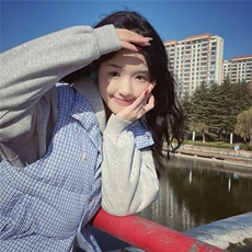 香风小马甲女2025春季新款韩版显瘦宽松马夹外套棉衣格子上衣工装，男装棉衣，星座1210-1