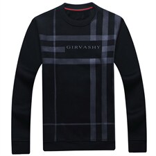 卫衣男2023秋季新款圆领宽松免烫上衣中青年加绒印花套头休闲男装，男装卫衣，电商B212（原钱塘6029）