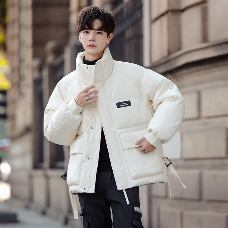 23冬装新款男士高品质90白鸭绒宽松立领加厚休闲羽绒服S121/P325，男装羽绒服，电商A221-2