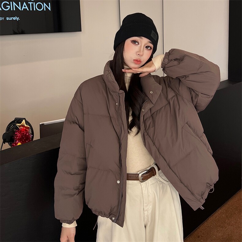 2023冬季新款时尚休闲立领羽绒服,女装羽绒服,阿舍尔精品
