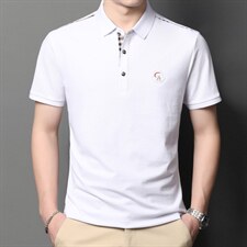 POLO衫男上衣半袖男装衣服男士体恤衫T恤潮牌休闲翻领爸爸短袖男，男装T恤，电商B212（原钱塘6029）