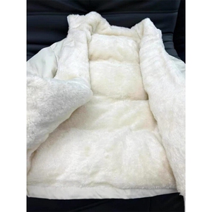 羊羔毛立领棉服  ZM0150-特P54图片