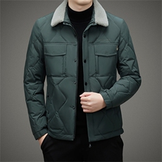 DZ8605钱塘2020-3中年男士冬季厚款翻领时尚休闲羽绒服P230，男装羽绒服，钱塘207-3