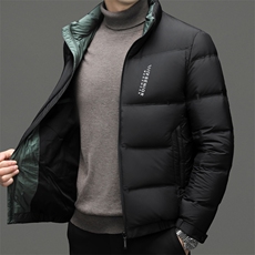 中年爸爸装立领羽绒服男冬季新款男士加厚保暖休闲白鸭绒外套男装，男装羽绒服，电商B212（原钱塘6029）