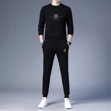 爸爸运动套装男士春秋季上衣中老年人休闲服中年卫衣超大码两件套，男装休闲套装，电商B212（原钱塘6029）