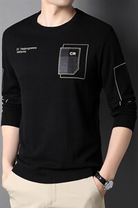 秋季2023新款男士卫衣商务休闲宽松上衣潮流时尚百搭纯色圆领薄款图片