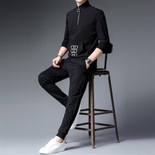 春秋季男士卫衣套装两件套长袖长裤中年宽松立领半拉链休闲运动服，男装休闲套装，电商B212（原钱塘6029）