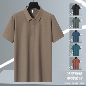 2025年夏季新品 翻领Polo冰丝短袖 锦纶品质HS1367-P38图片