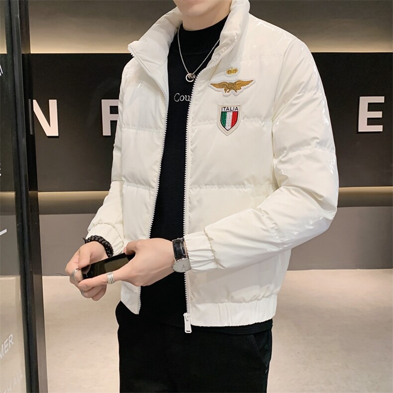 8208  冬季男士立领亮面羽绒服图片