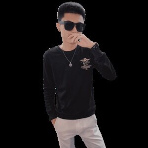 秋装新款长袖圆领男士卫衣社会小伙刺绣个性卫衣C301B-WY20图片