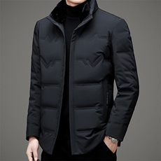CSYR8819钱塘2020-2冬季厚款商务休闲新款中年男士羽绒服P350，男装羽绒服，钱塘207-2