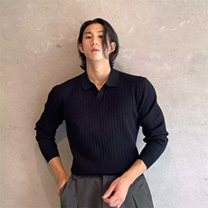 欧美翻领针织polo衫男高级感修身长袖2026v型叠领线衣保罗针织衫，男装针织衫/毛衣，星座715-4