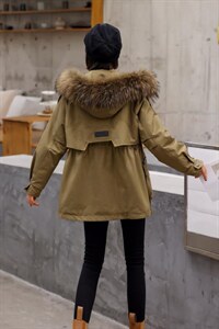 派克图片