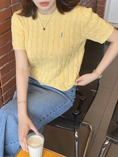 2025春夏款天丝棉材质七针重工刺绣小马标立体麻花圆领短袖，女装T恤，织己羊绒