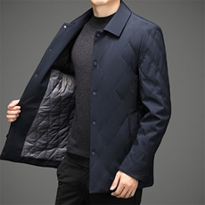 加厚保暖棉衣男士冬季新款中年爸爸装翻领棉服商务休闲外套男装，男装棉衣，电商B212（原钱塘6029）