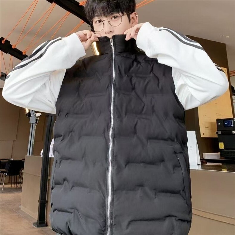 秋冬季羽绒棉服马甲男2025新款潮流外穿纯色坎肩立领工装,男装棉衣,星座506A