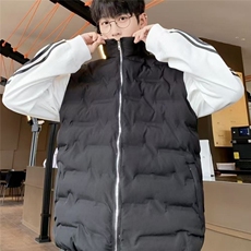 秋冬季羽绒棉服马甲男2025新款潮流外穿纯色坎肩立领工装，男装棉衣，星座506A