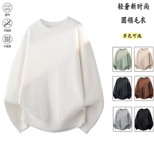 2025秋冬加厚高品质设计感纯色街头圆领轻奢针织毛衣MZ84-P48图片